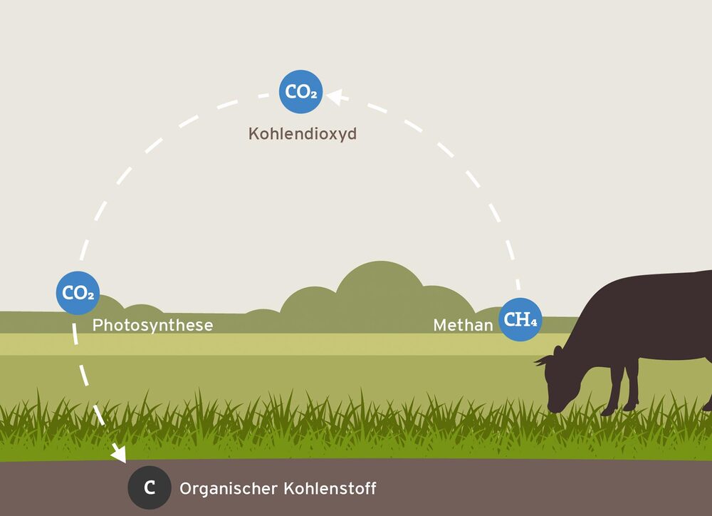 Bildliche Darstellung von Agrarökologischen Prozessen 1 Bildliche Darstellung von Agrarökologischen Prozessen 1