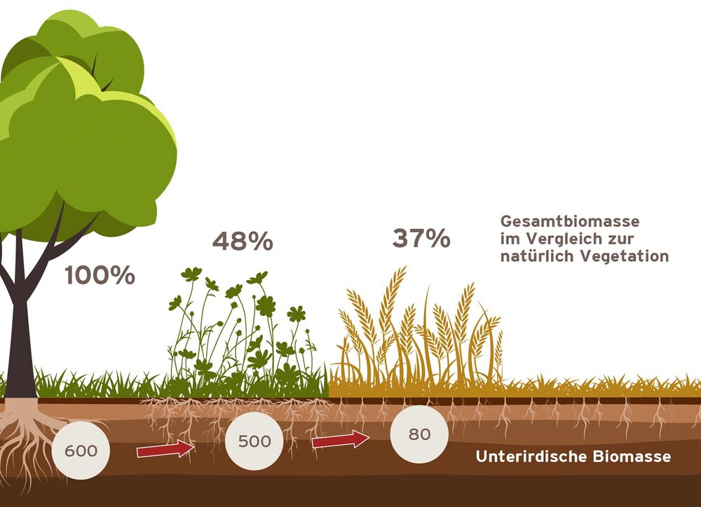 Bildliche Darstellung von Agrarökologischen Prozessen 4 Bildliche Darstellung von Agrarökologischen Prozessen 4