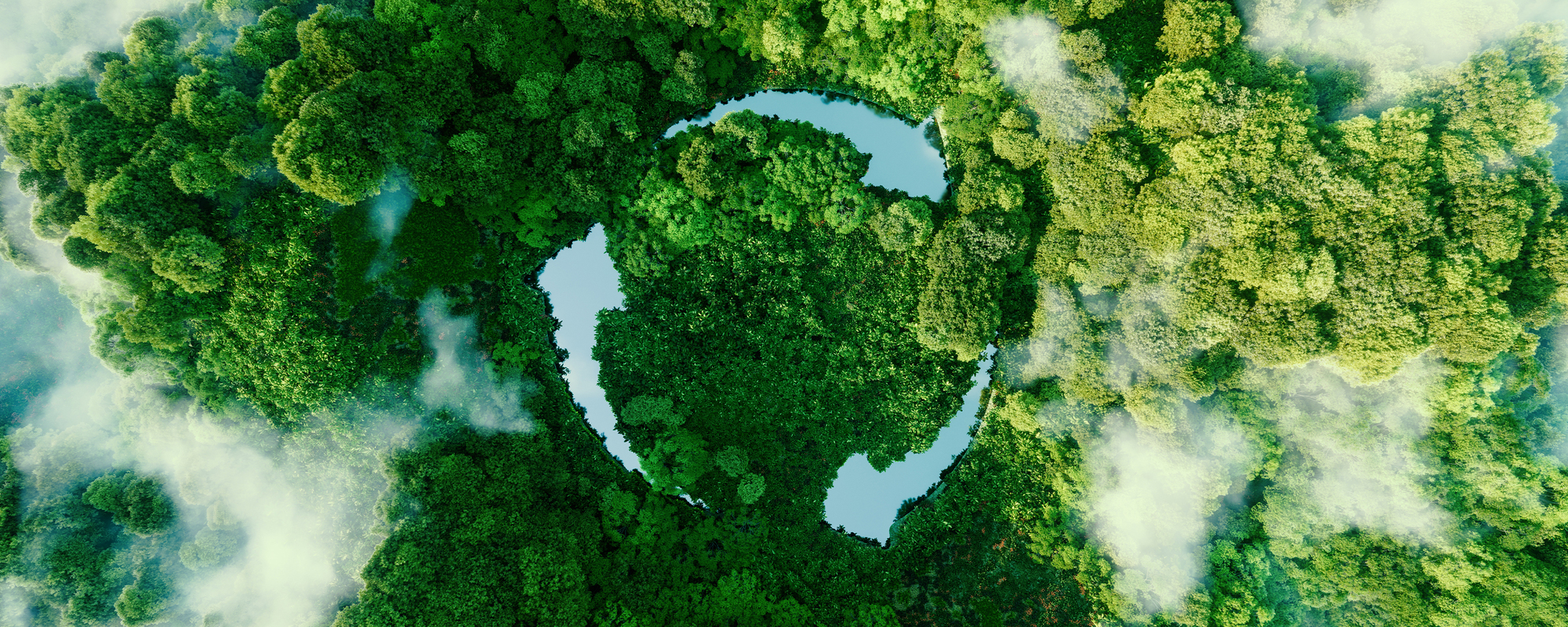 Wald aus der Vogelperspektive mit den Pfeilen der Kreislaufwirtschaft als Flüsse in der Mitte.